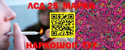 индика Заводоуковск