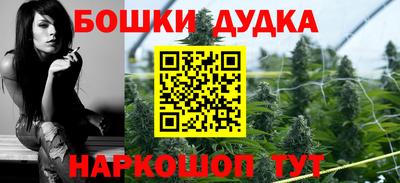 индика Заводоуковск