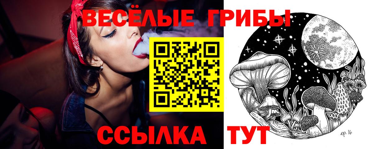 Галлюциногенные грибы GOLDEN TEACHER Кандалакша
